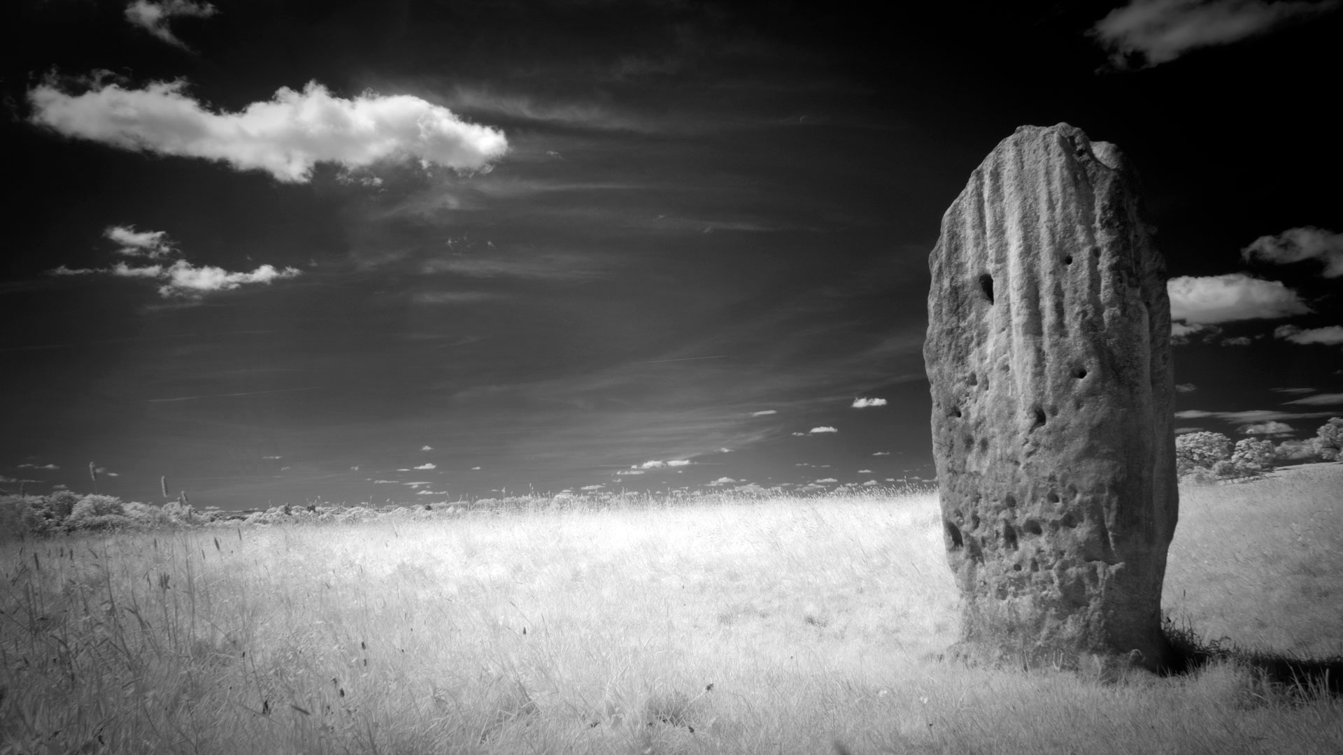 Tuilyies | Ian McLaren Wallace