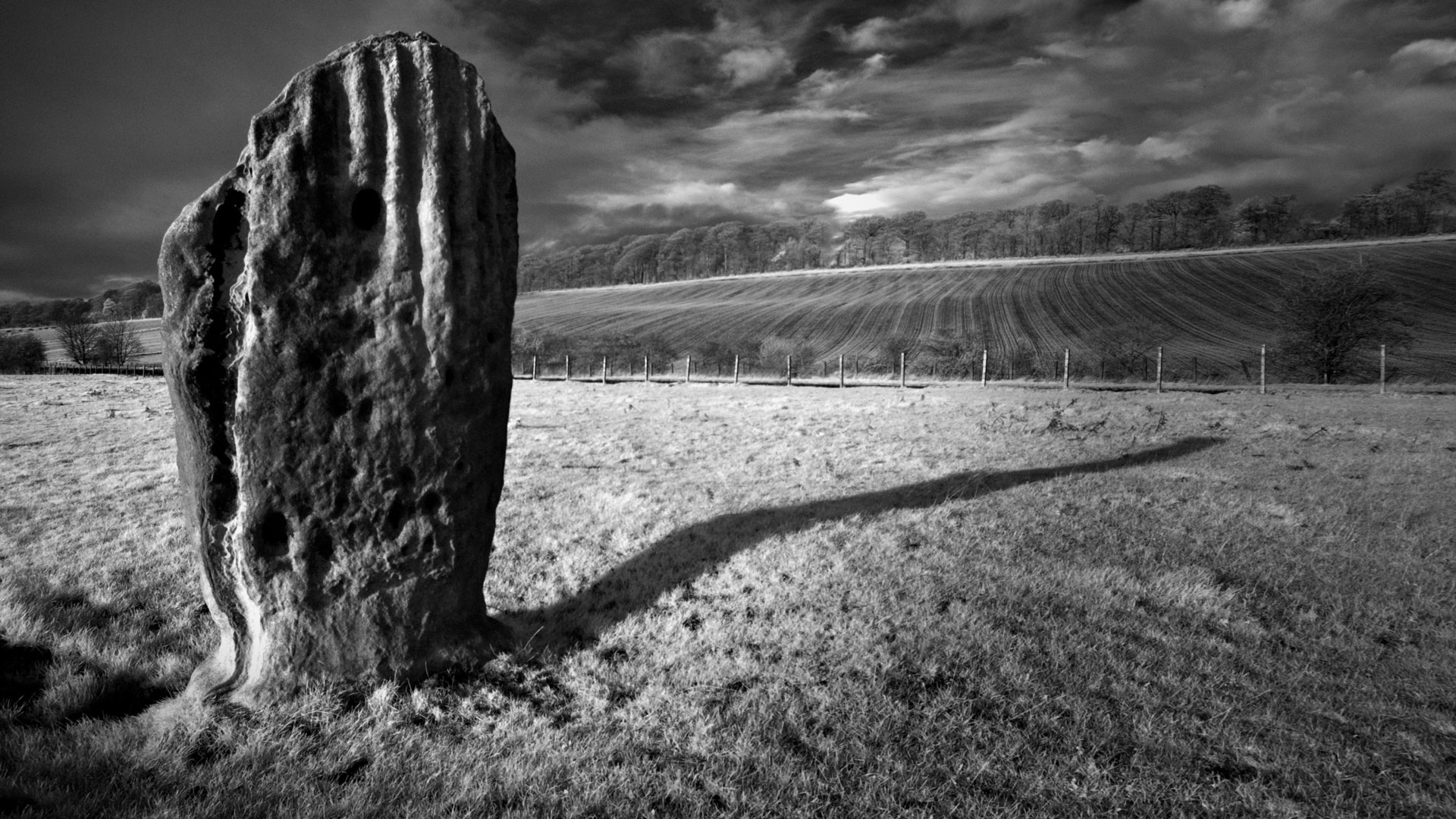 Tuilyies | Ian McLaren Wallace